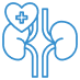 Urology Icon