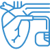 Cardiology Icon
